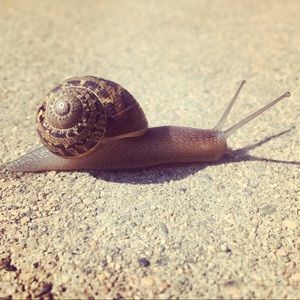 Meet your Posher, Jean